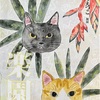 個展のご案内