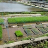 田植え　DAY　７