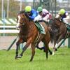 人気馬の信頼度は？2019京王杯スプリングカップ(G2)レース傾向・有力馬分析(最終追い切りなど)