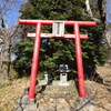 帰ってきました