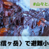 甲武信ヶ岳で避難小屋泊【山々とパノラマ】