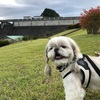 お散歩 in あさひな湖畔公園