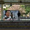 ＪＲ根岸線　磯子駅の八重桜