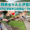 赤ちゃんでも楽しめる伊豆旅行スポットは？7ヶ月と行ってきたよ【アニマルキングダム・下田】