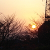 荒子川公園からの夕日