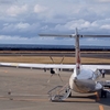 【搭乗記】JAL/JL3844(徳之島/奄美大島)