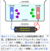 塩とは…