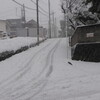 すごい雪