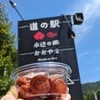 梅干しを買う弾丸ツーリングに行ってみた(笑)