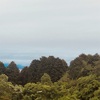 今朝の景色