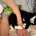 年に一度のお風呂の日