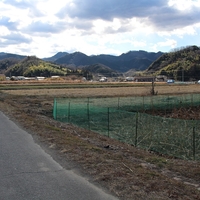 山城で熊に遭遇？？