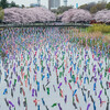 満開の桜とこいのぼりの共演！群馬・館林の「さくらとこいのぼりの里まつり」が最高だった！