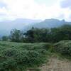 2019年8月17日(土) [大峰]山上ヶ岳、女人禁制の山を歩く！