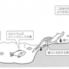えっ、骨ってこんなにスゴイの!?   -「カルシウム」「力」「血」を生み出す臓器-