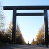 真っ盛りのもみじが燃えてるってね／靖国神社神池庭園にて