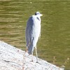 森林公園 初冬の気配