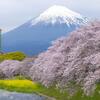 中学生のための時事問題　2024年4月