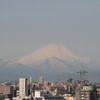 富士山　霜柱　しだれ桜