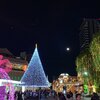 月と双子座のポルックスとカストルもくっきり！ 綺麗だなぁ、都会の夜景と
