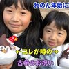 1月15日の動画