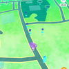 『ポケモンGO』～その日の活動日記「Rの軍勢」～ 