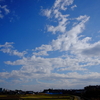 四季の森公園で紅葉を探す。