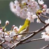 リハビリに