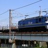 第3075列車　「　押桃牽引となったレール臨貨を狙う　」