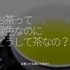 1000食目「お茶って緑色なのにどうして茶なの？」お茶ってなあに？その①