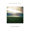 ACIDMAN「世界が終わる夜(初回限定盤)」レビュー：終末感と希望が交錯する、心揺さぶる一曲