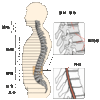 整体に行くと驚愕の事実が