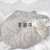 腎臓にやさしい『ビオナチュレ』