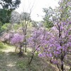 加佐登神社