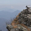 tochikoな山歩き　樹の道