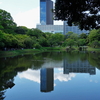 江戸の風情と藤の咲く庭園③『小石川後楽園』Koishikawa Korakuen Garden