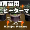 【超おすすめ】室内園芸用のヒーターマット（ヒートマット）「Kaiju Plant 怪獣サーマット」レビュー！観葉植物の寒い冬越しや実生や育苗用に！レオパなどの爬虫類育成の保温にも！温度コントローラー サーモスタットも付属！アガベ｜塊根植物｜テラリウム｜パルダリウム