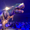 DINO-A-LIVE（ディノアライブ）のおすすめ座席を紹介！！