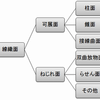 曲面の分類