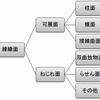 曲面の分類