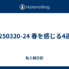 20250320-24 春を感じる4連休