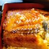 【日常】エアコン死んだ