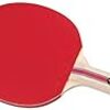 テニス選手はなぜポッケにボールを入れてプレイするのか 本日の雑感 テニス選手はなぜポッケにボールを入れてプレイするのか 本日の雑感