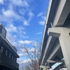 久しぶりの綺麗な空