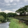 曇り空の散歩風景。。