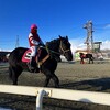 【帯広競馬場】世界でココだけ・ソリ引く馬をみんなで応援！【ばんえい競馬】