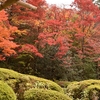 京都 詩仙堂 四季折々の風景が楽しめる山荘でしばし時を忘れる  (Kyoto, Shisendo)