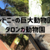 【SFC修行】シドニー編③：まるでテーマパーク！広すぎるタロンガ動物園