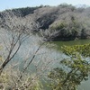 冬枯れの山と菜の花畑