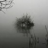 霧の琵琶湖